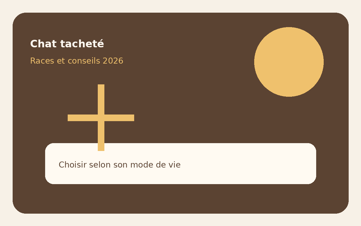 Illustration d’un chat tacheté