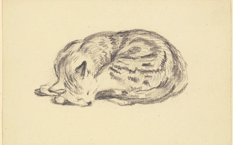 Dessin au crayon d’un chat endormi sur papier