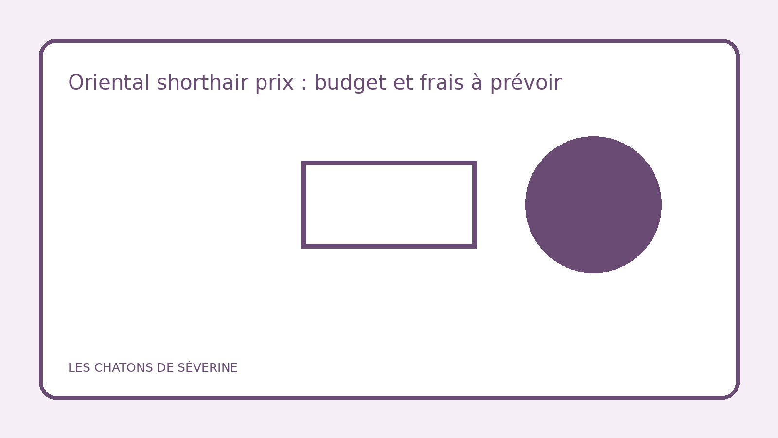 Illustration d’un chat Oriental Shorthair et d’un budget d’adoption