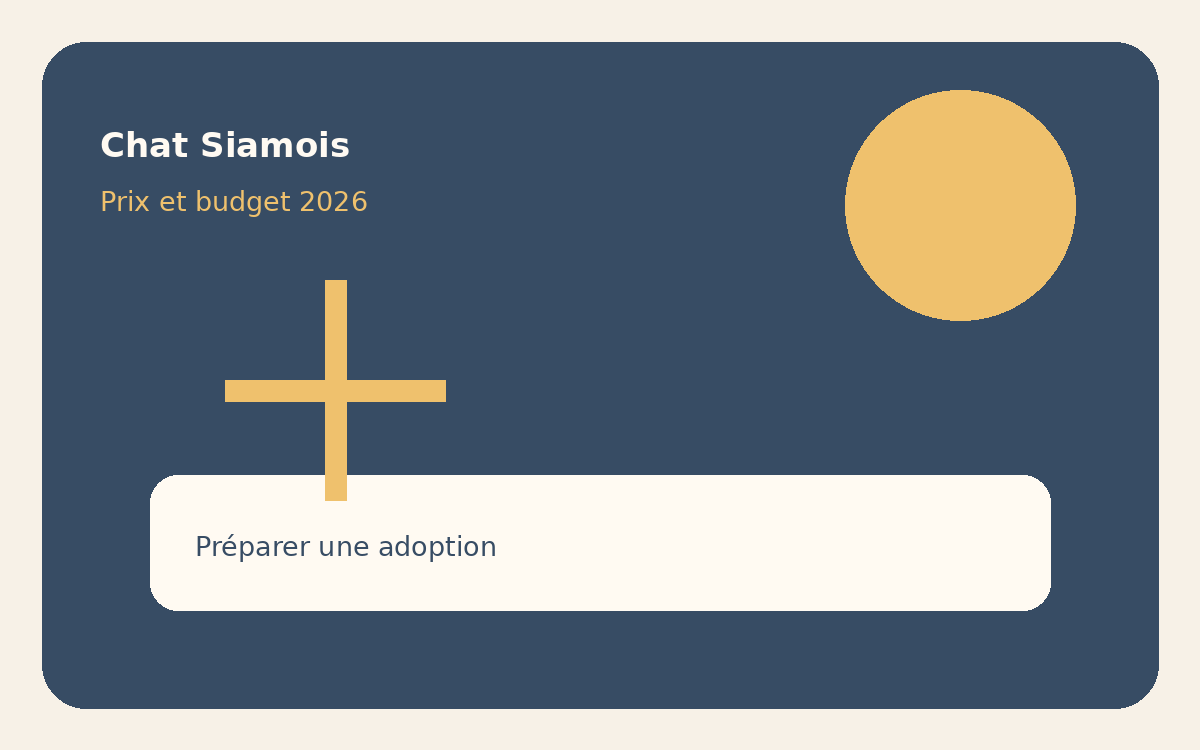 Illustration d’un chat Siamois et d’un budget d’adoption
