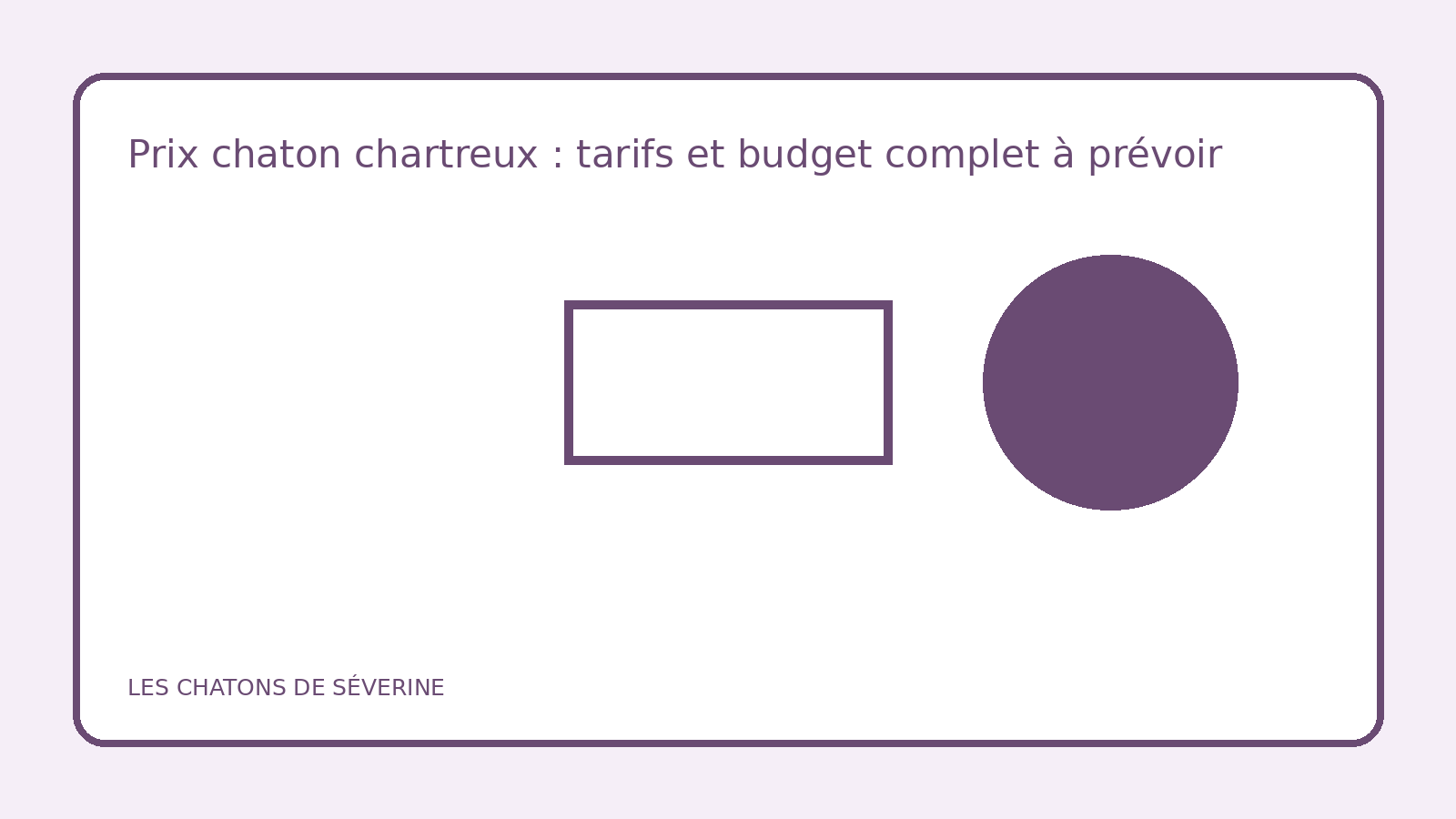 Illustration d’un chat Chartreux et d’un budget d’adoption