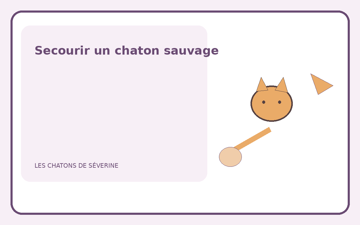 Illustration d’un chaton sauvage approché avec douceur