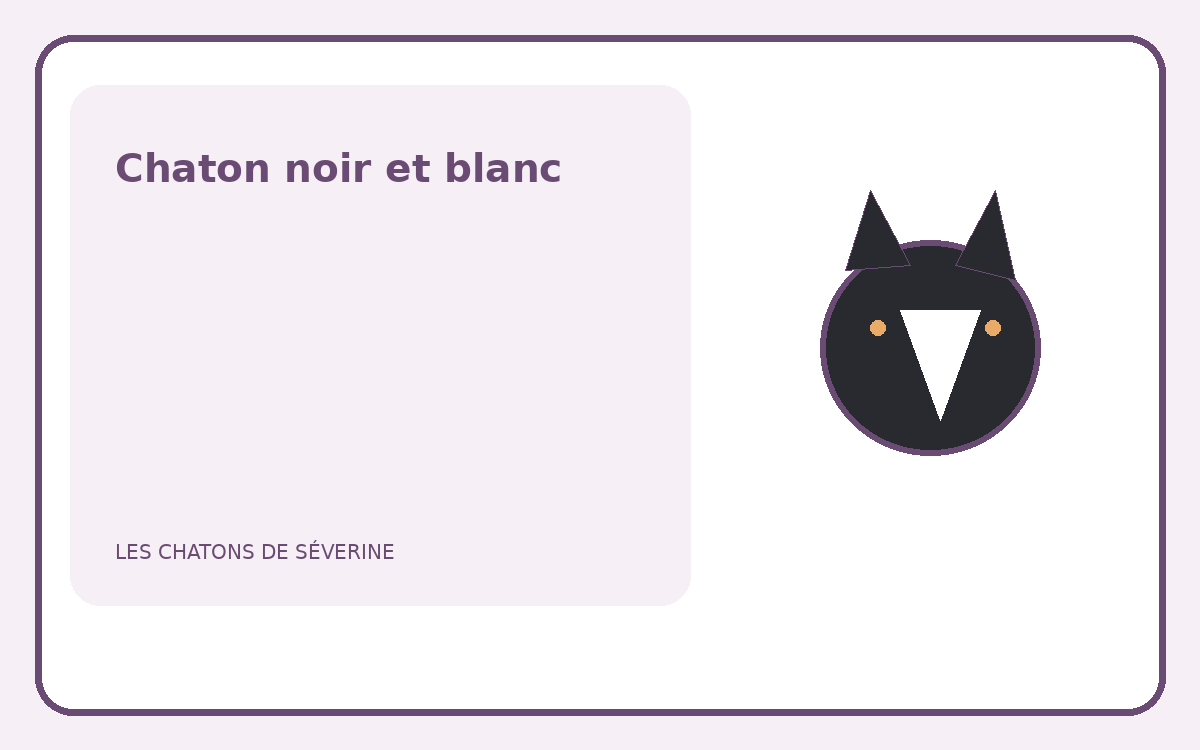 Illustration d’un chaton noir et blanc au motif tuxedo