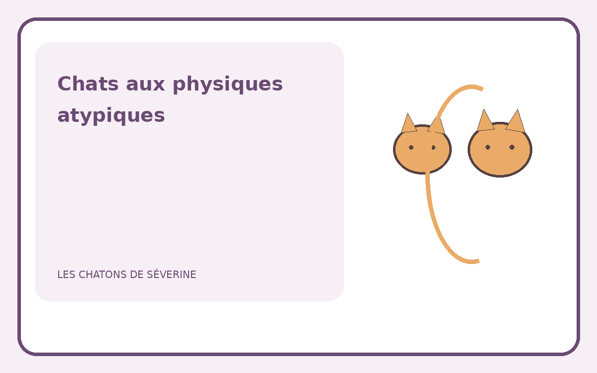 Illustration éditoriale de plusieurs silhouettes félines atypiques